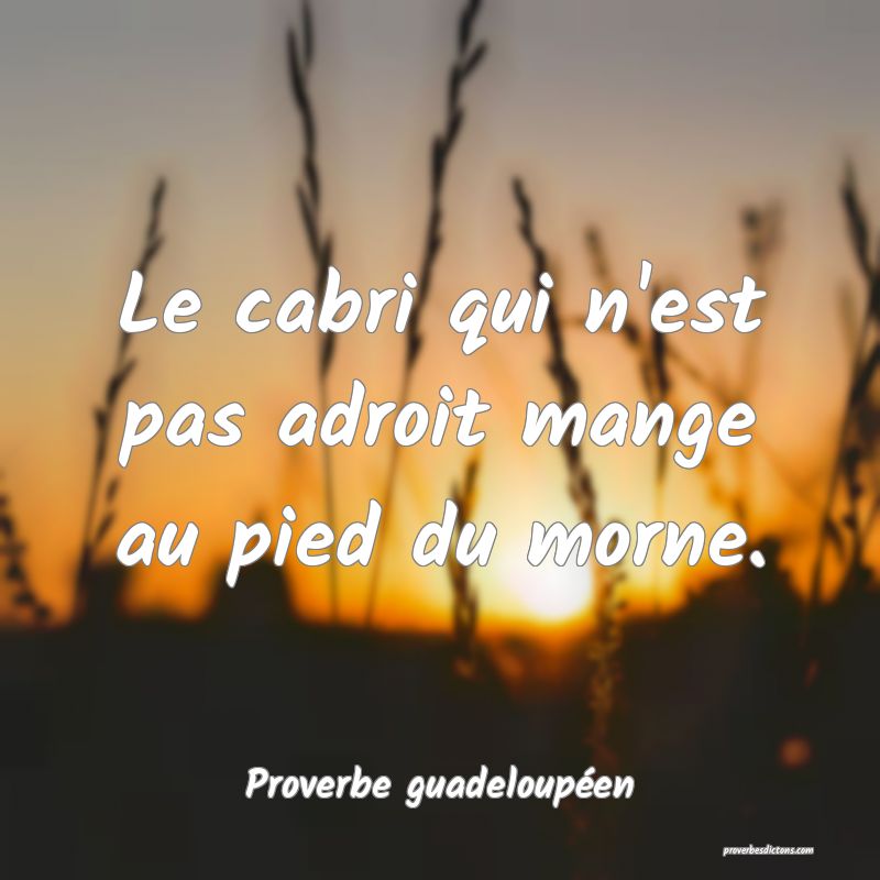 Le cabri qui n'est pas adroit mange au pied du morne.