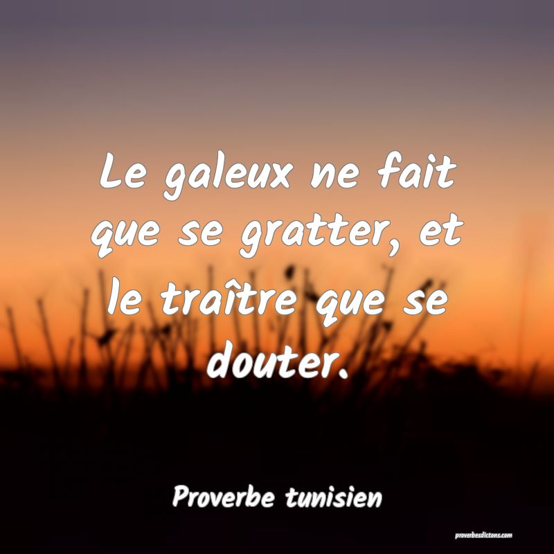 Le galeux ne fait que se gratter, et le traître que se douter.