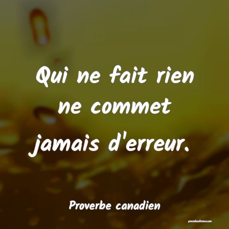 Qui ne fait rien ne commet jamais d'erreur.