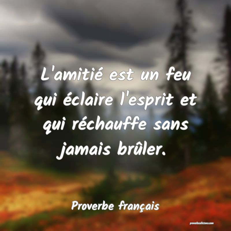 L'amitié est un feu qui éclaire l'esprit et qui réchauffe sans jamais brûler.