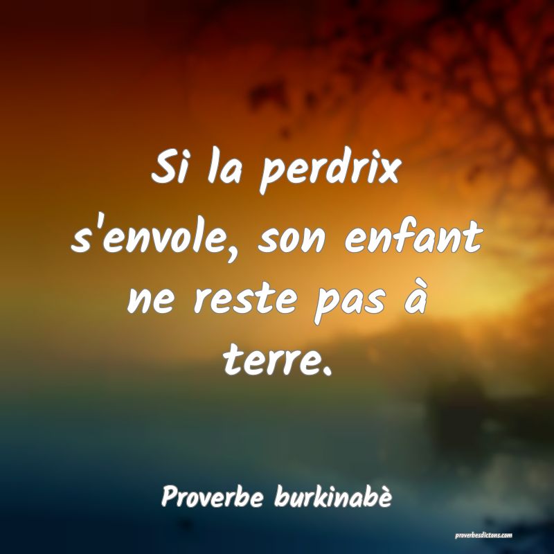 Si la perdrix s'envole, son enfant ne reste pas à terre.