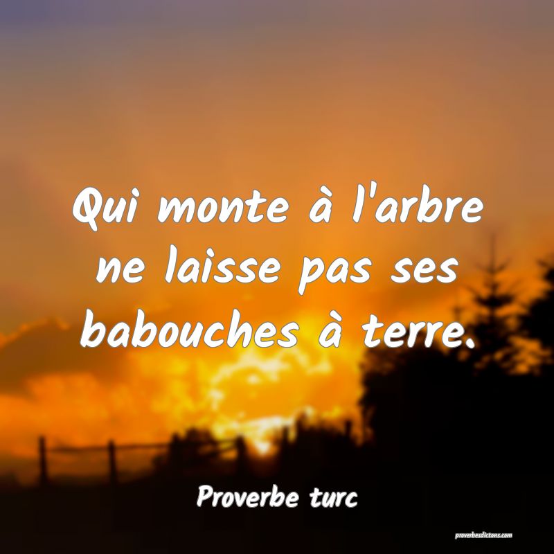 Qui monte à l'arbre ne laisse pas ses babouches à terre.