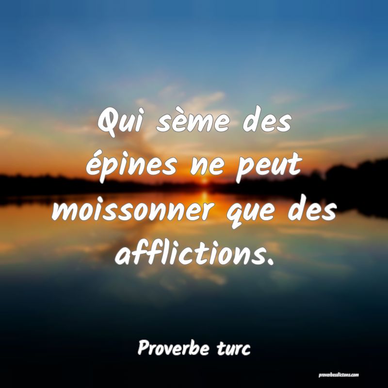 Qui sème des épines ne peut moissonner que des afflictions.