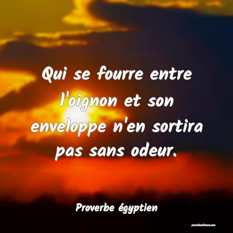 Qui se fourre entre l'oignon et son enveloppe n'en sortira pas sans odeur.