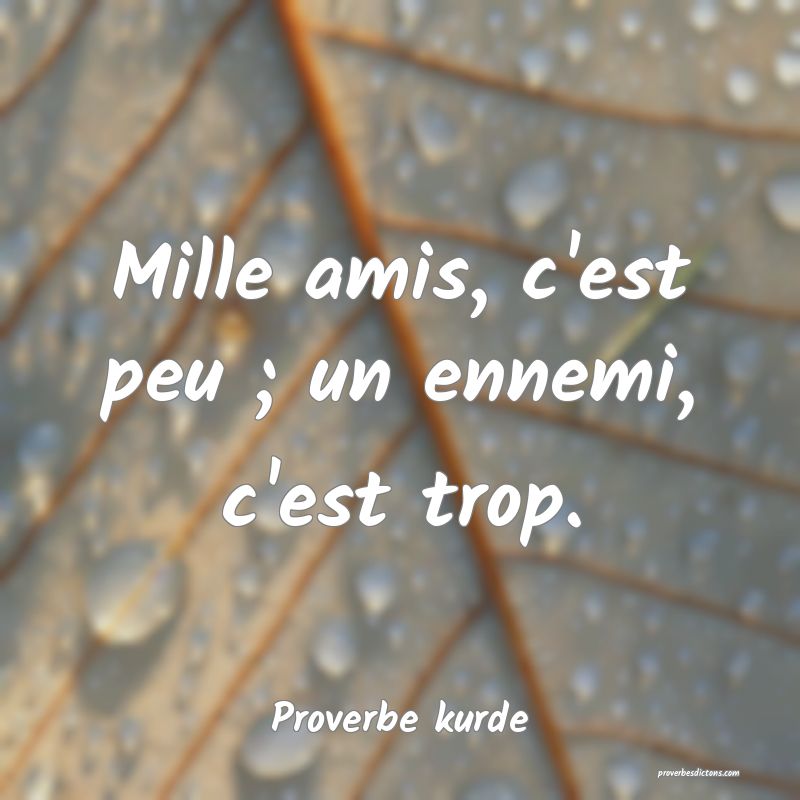 Mille amis, c'est peu ; un ennemi, c'est trop.