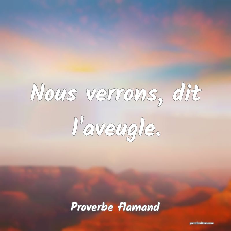 Nous verrons, dit l'aveugle.