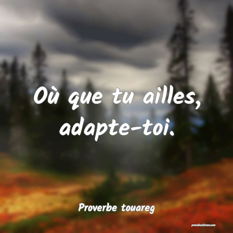 Où que tu ailles, adapte-toi.