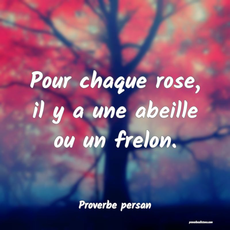 Pour chaque rose, il y a une abeille ou un frelon.