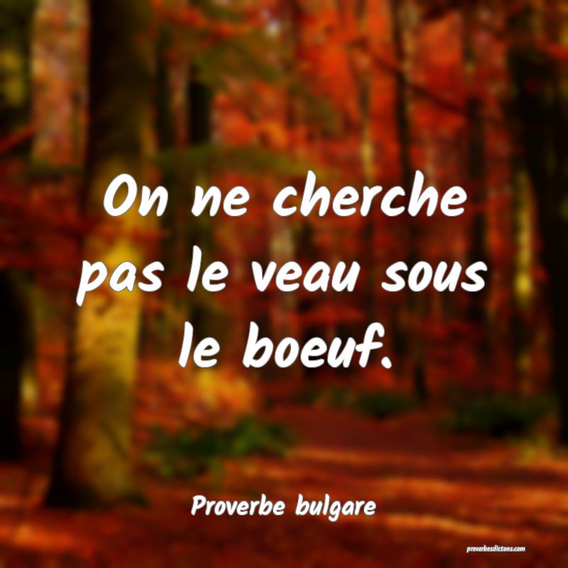 On ne cherche pas le veau sous le boeuf.