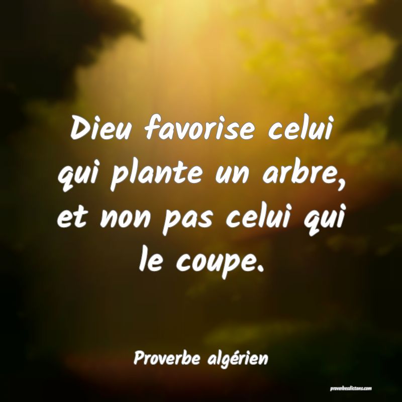 Dieu favorise celui qui plante un arbre, et non pas celui qui le coupe.