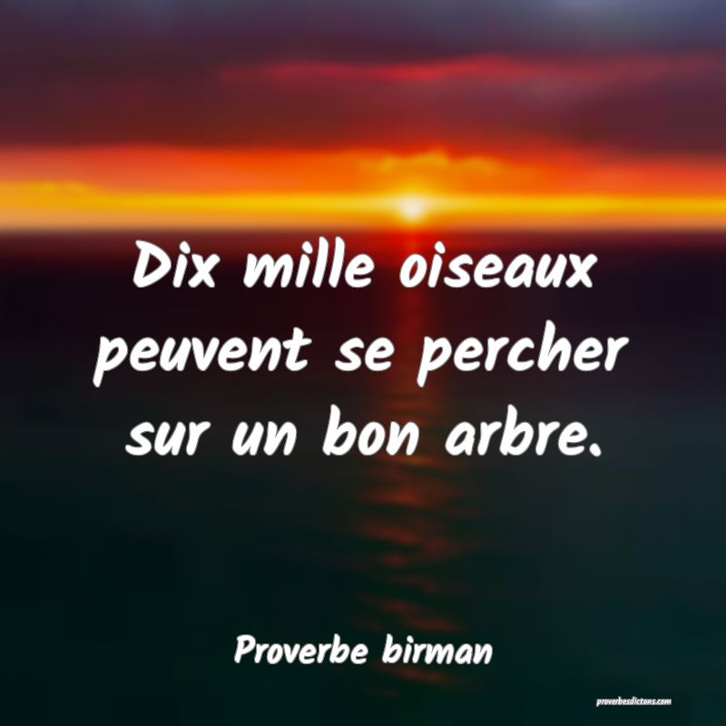 Dix mille oiseaux peuvent se percher sur un bon arbre.