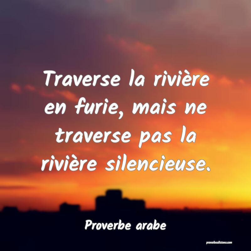 Traverse la rivière en furie, mais ne traverse pas la rivière silencieuse.