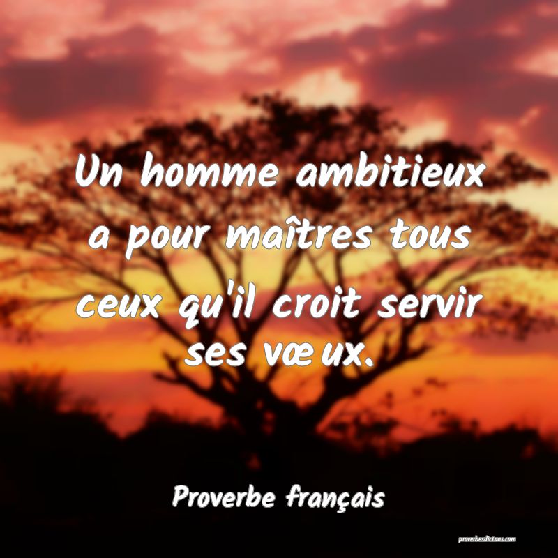 Un homme ambitieux a pour maîtres tous ceux qu'il croit servir ses vœux.