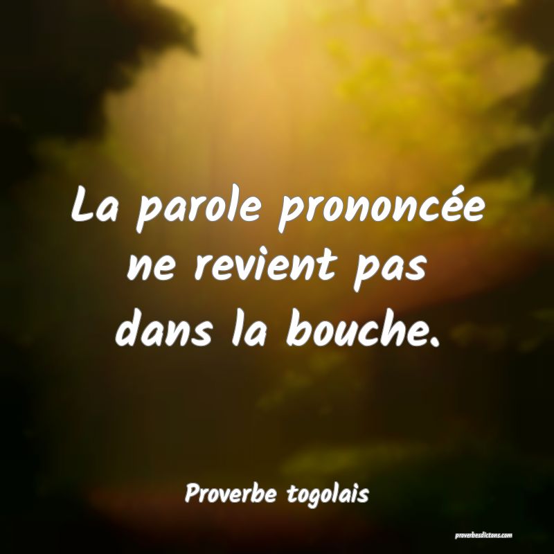 La parole prononcée ne revient pas dans la bouche.