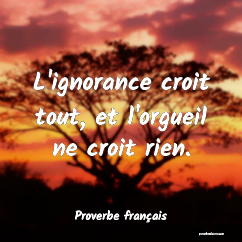 L'ignorance croit tout, et l'orgueil ne croit rien.