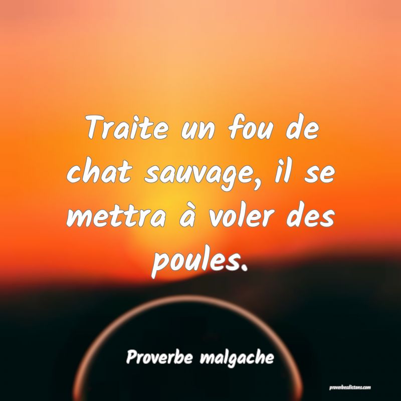 Traite un fou de chat sauvage, il se mettra à voler des poules.