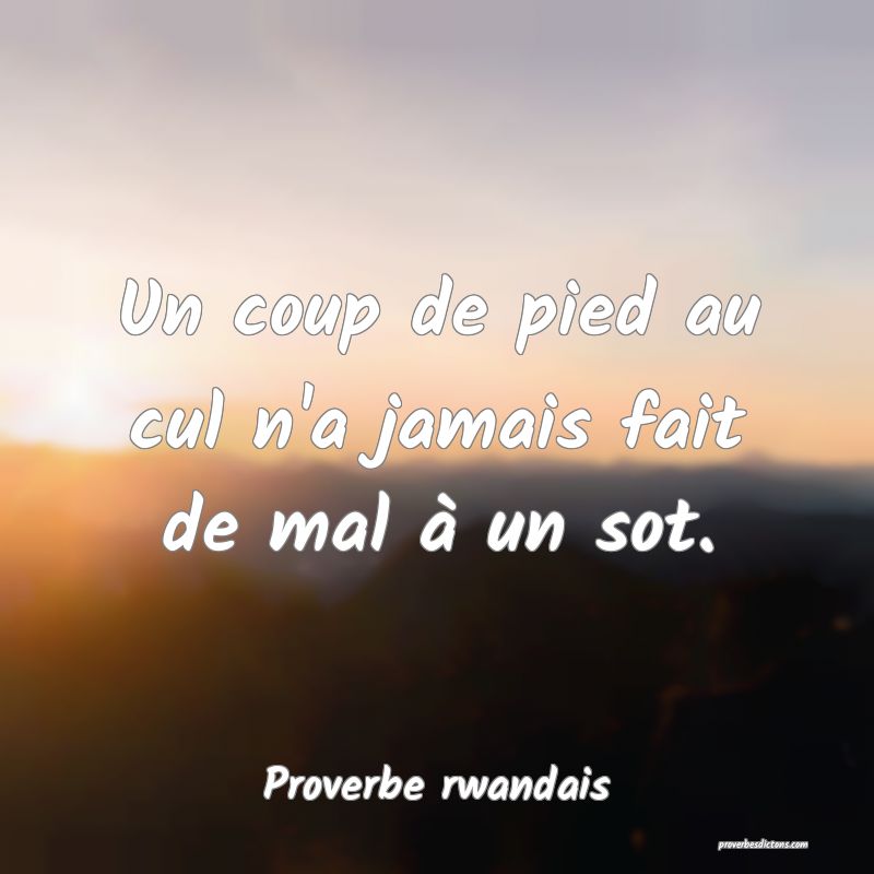 Un coup de pied au cul n'a jamais fait de mal à un sot.