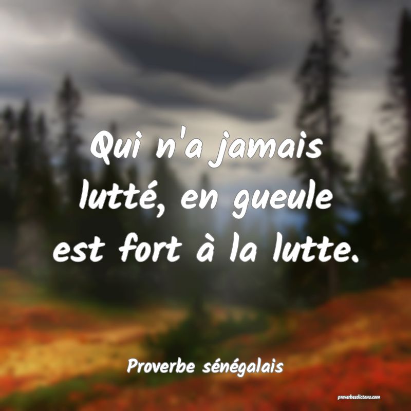 Qui n'a jamais lutté, en gueule est fort à la lutte.