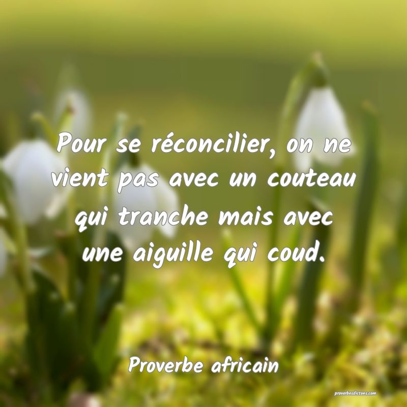 Pour se réconcilier, on ne vient pas avec un couteau qui tranche mais avec une aiguille qui coud.