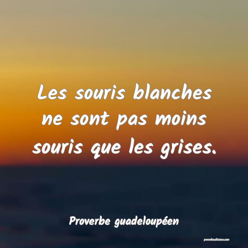 Les souris blanches ne sont pas moins souris que les grises.