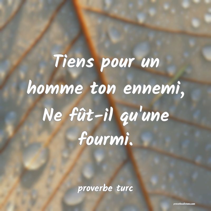  Tiens pour un homme ton ennemi, Ne fût-il qu'une fourmi.