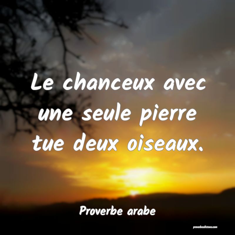 Le chanceux avec une seule pierre tue deux oiseaux.