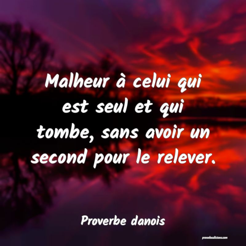 Malheur à celui qui est seul et qui tombe, sans avoir un second pour le relever.