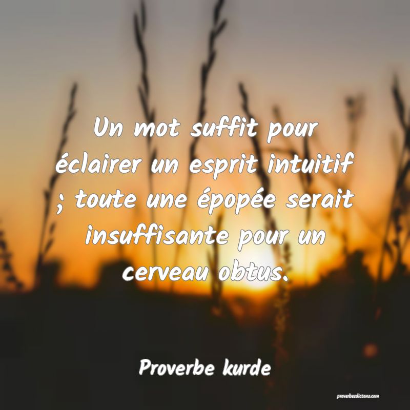Un mot suffit pour éclairer un esprit intuitif ; toute une épopée serait insuffisante pour un cerveau obtus.