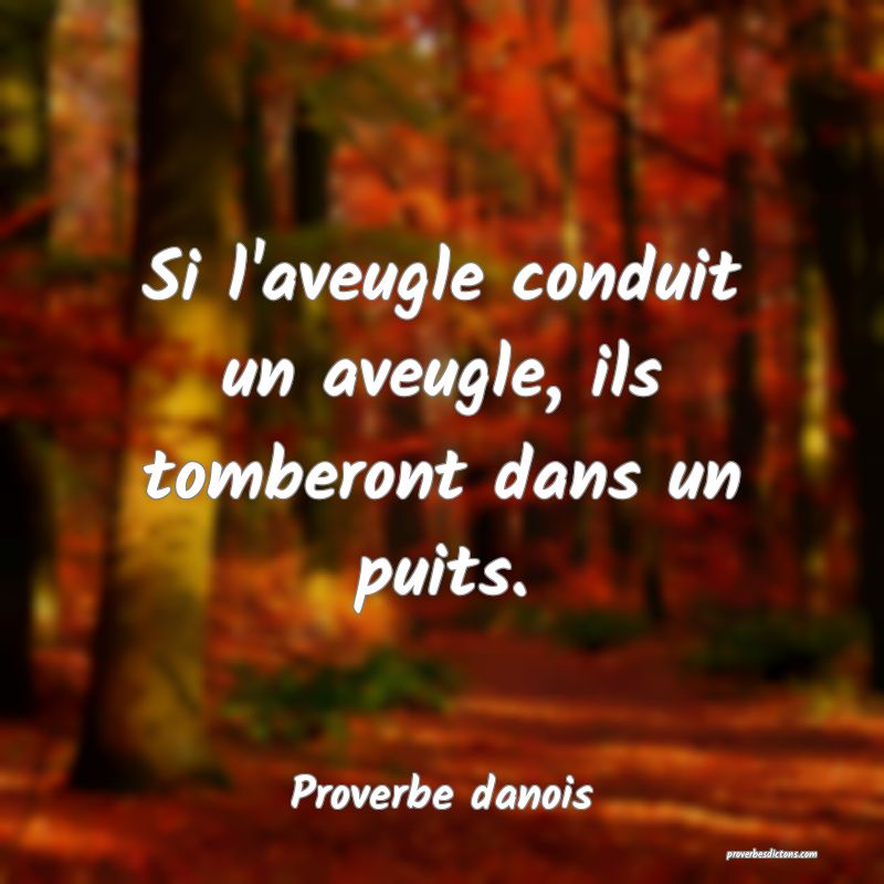 Si l'aveugle conduit un aveugle, ils tomberont dans un puits.