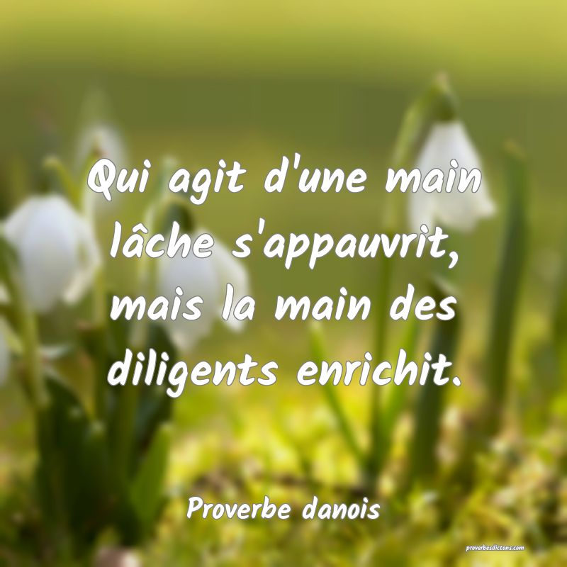 Qui agit d'une main lâche s'appauvrit, mais la main des diligents enrichit.
