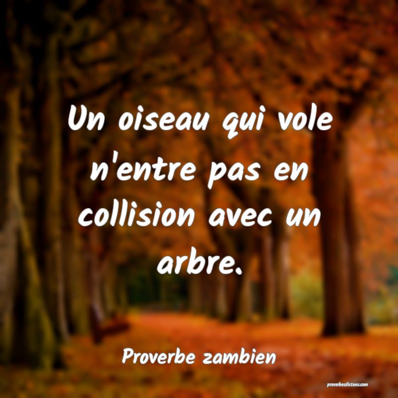 Un oiseau qui vole n'entre pas en collision avec un arbre.
