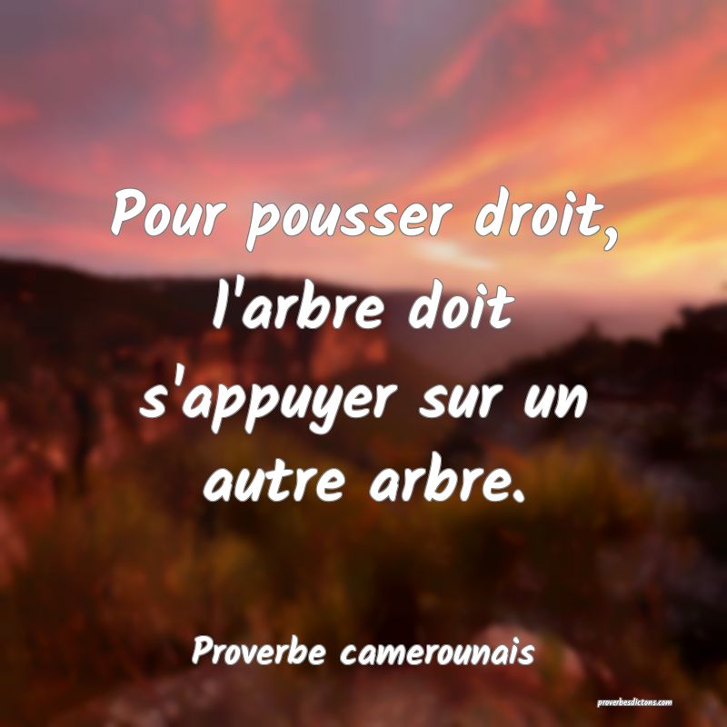 Pour pousser droit, l'arbre doit s'appuyer sur un autre arbre.