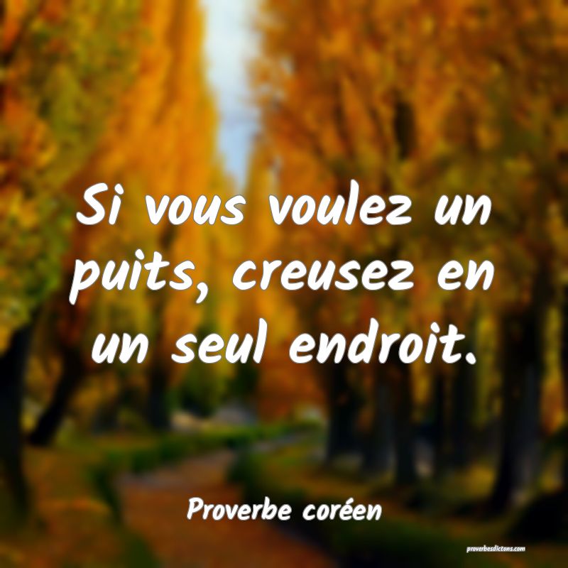 Si vous voulez un puits, creusez en un seul endroit.