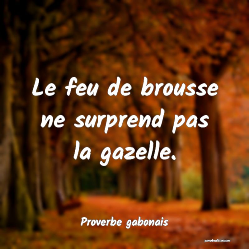 Le feu de brousse ne surprend pas la gazelle.