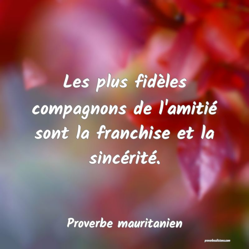 Les plus fidèles compagnons de l'amitié sont la franchise et la sincérité.