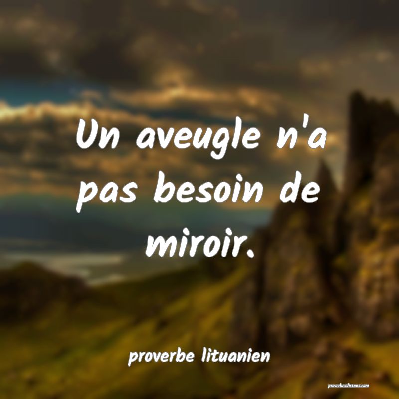  Un aveugle n'a pas besoin de miroir.