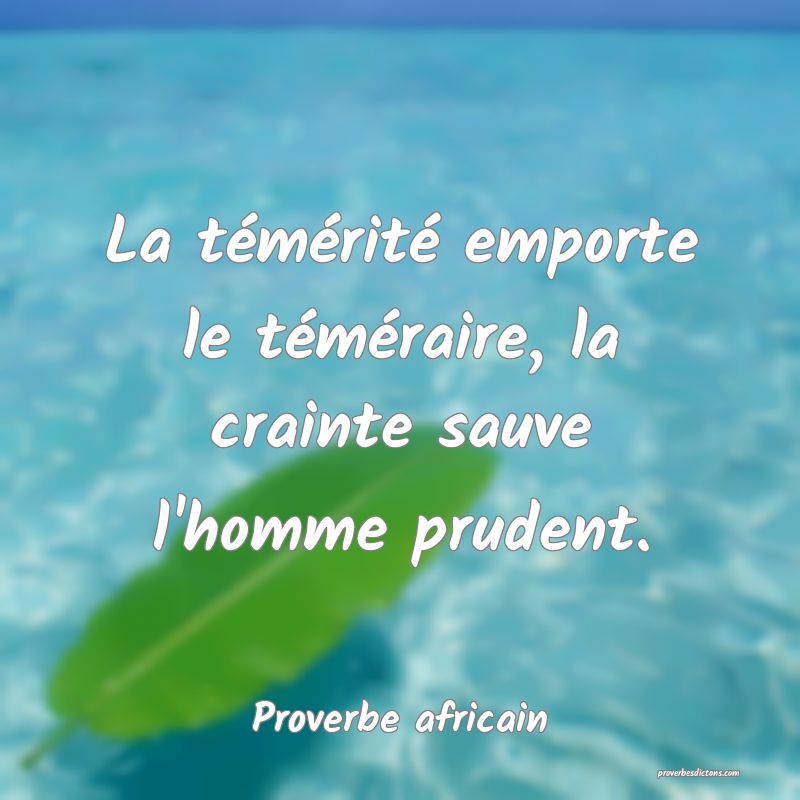 La témérité emporte le téméraire, la crainte sauve l'homme prudent.