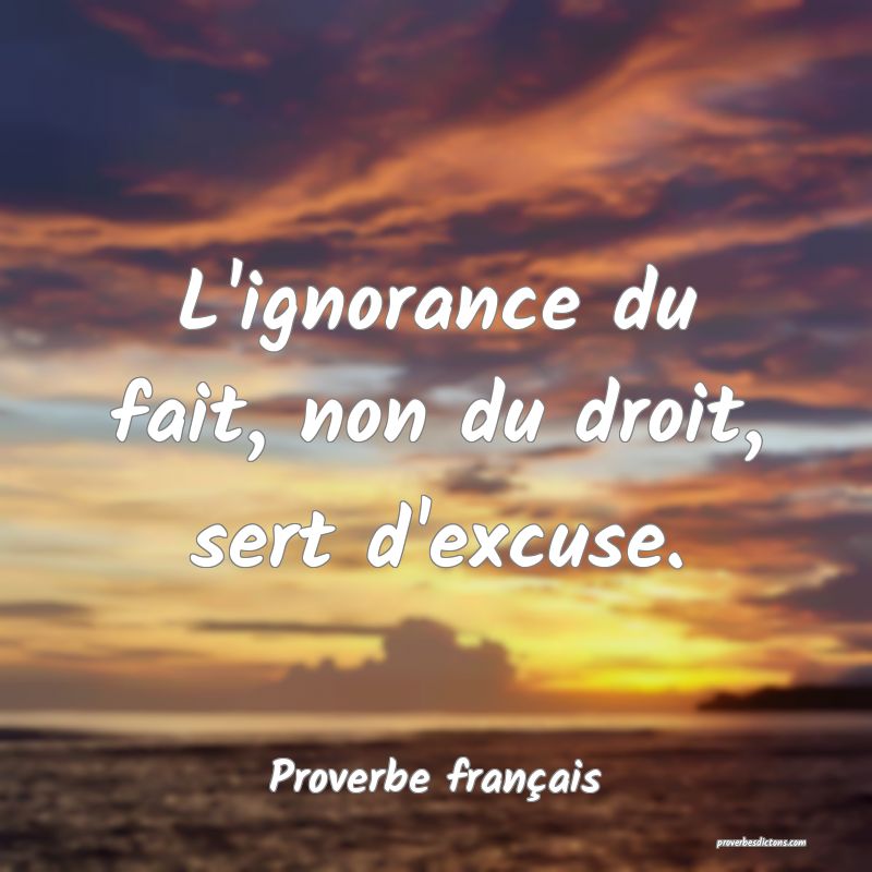 L'ignorance du fait, non du droit, sert d'excuse.