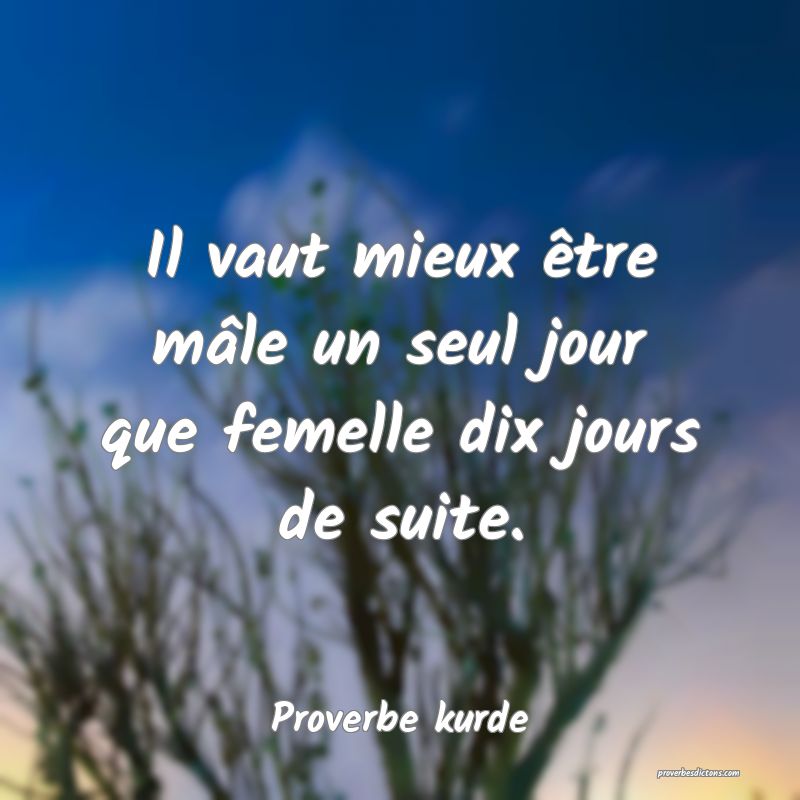 Il vaut mieux être mâle un seul jour que femelle dix jours de suite.