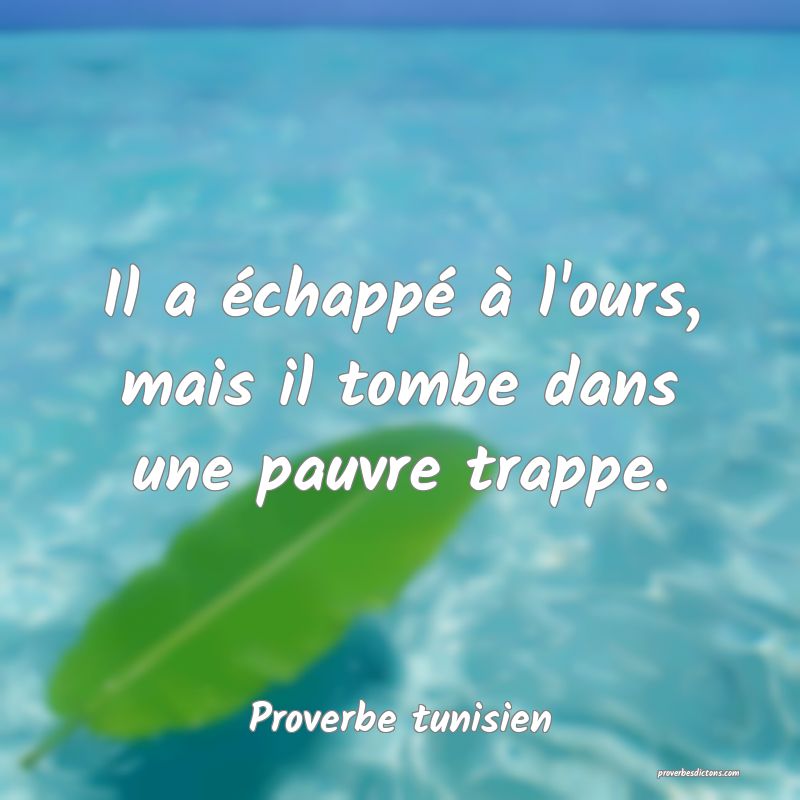 Il a échappé à l'ours, mais il tombe dans une pauvre trappe.