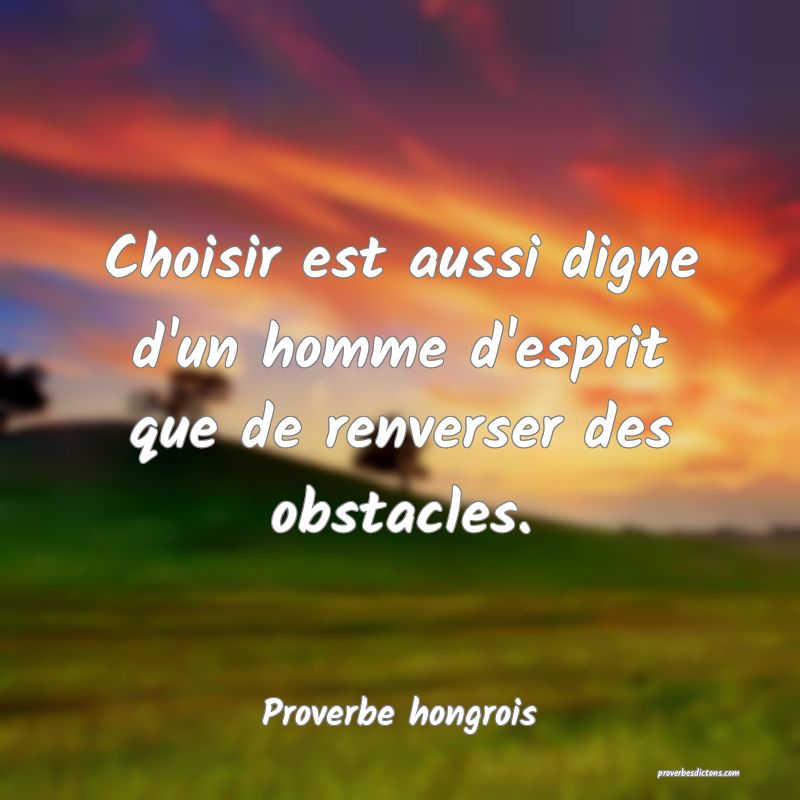 Choisir est aussi digne d'un homme d'esprit que de renverser des obstacles.