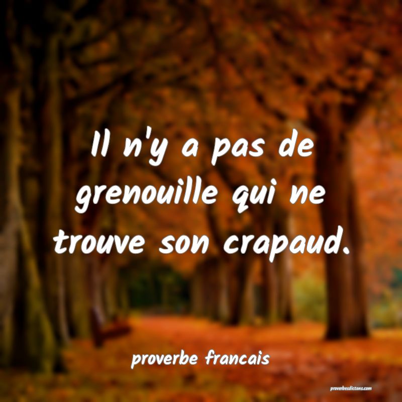  Il n'y a pas de grenouille qui ne trouve son crapaud.