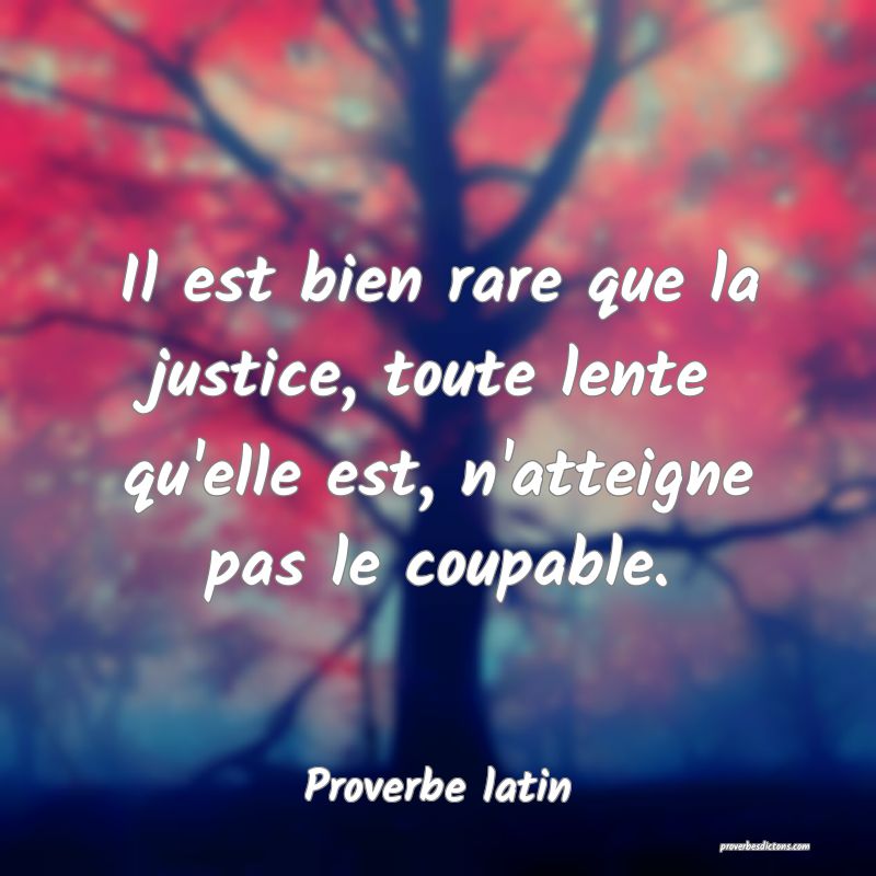 Il est bien rare que la justice, toute lente qu'elle est, n'atteigne pas le coupable.