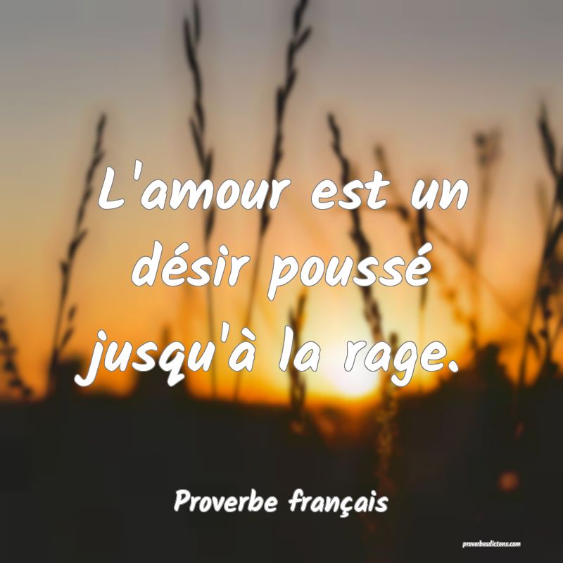 L'amour est un désir poussé jusqu'à la rage.