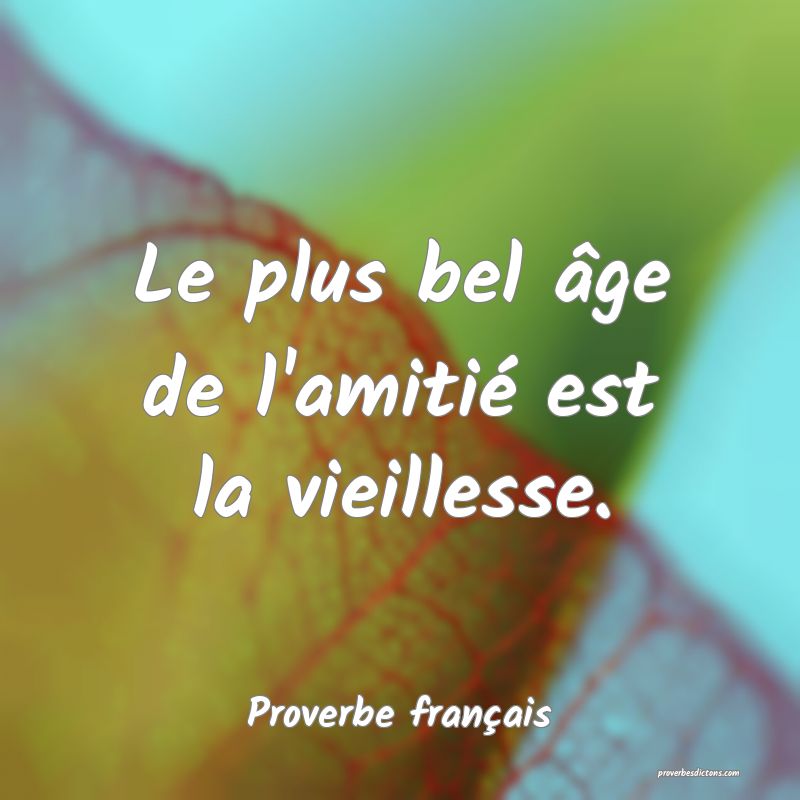 Le plus bel âge de l'amitié est la vieillesse.