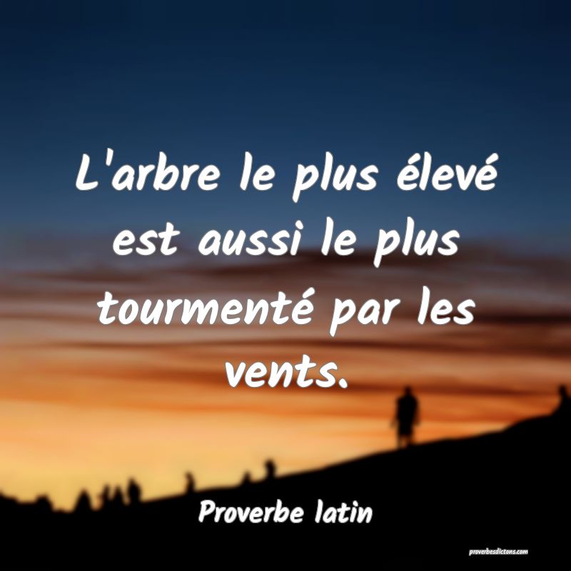 L'arbre le plus élevé est aussi le plus tourmenté par les vents.