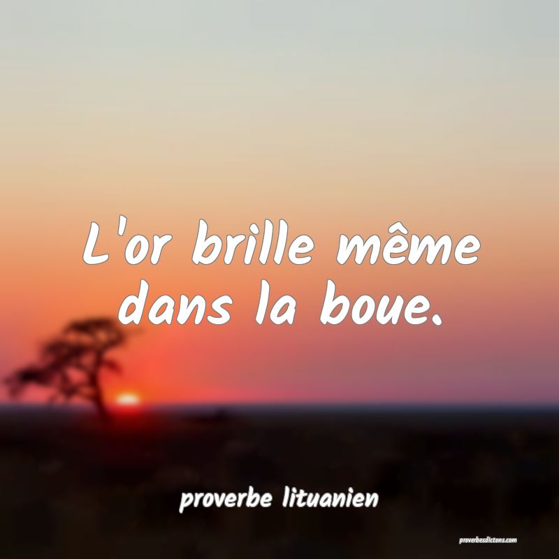  L'or brille même dans la boue.
