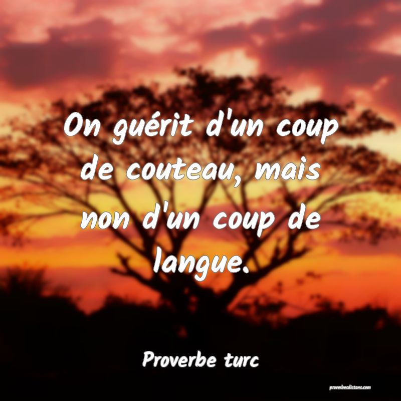On guérit d'un coup de couteau, mais non d'un coup de langue.