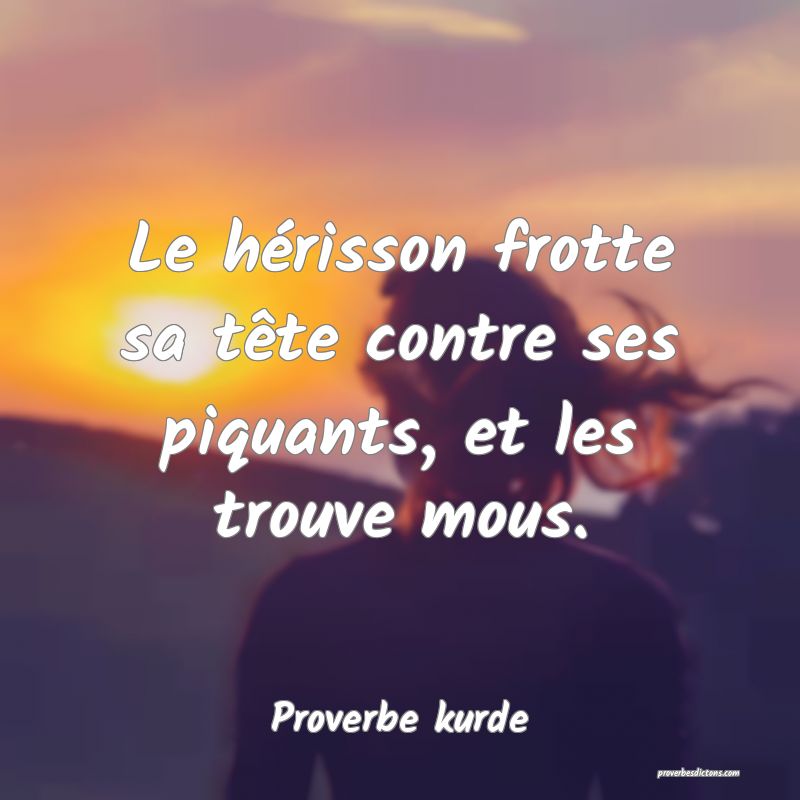 Le hérisson frotte sa tête contre ses piquants, et les trouve mous.