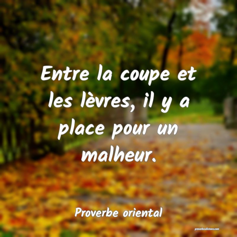 Entre la coupe et les lèvres, il y a place pour un malheur.